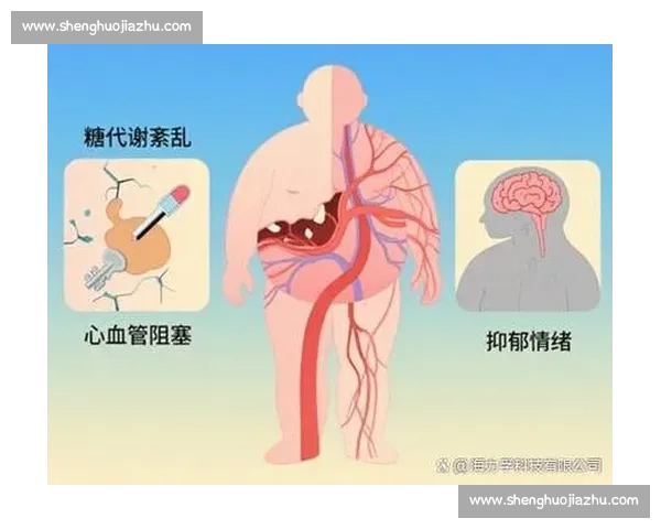 科学有效的体重管理方法与健康生活习惯全攻略 科学有效的体重管理方法与健康生活习惯全攻略